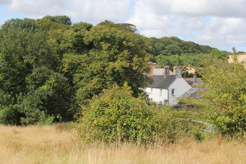 Costislost House Wadebridge Luaran gambar